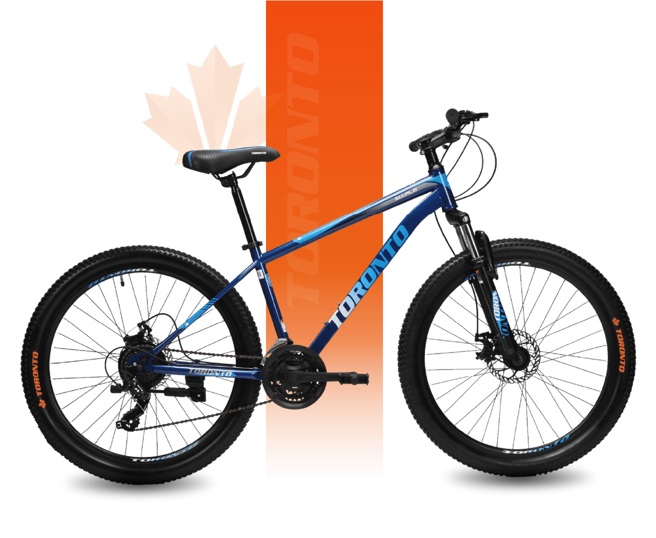 Toronto Bicycle
